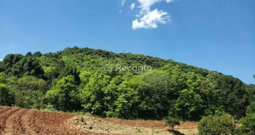 Fazenda à venda na Estrada Linha Bonita, Linha Bonita, Gramado