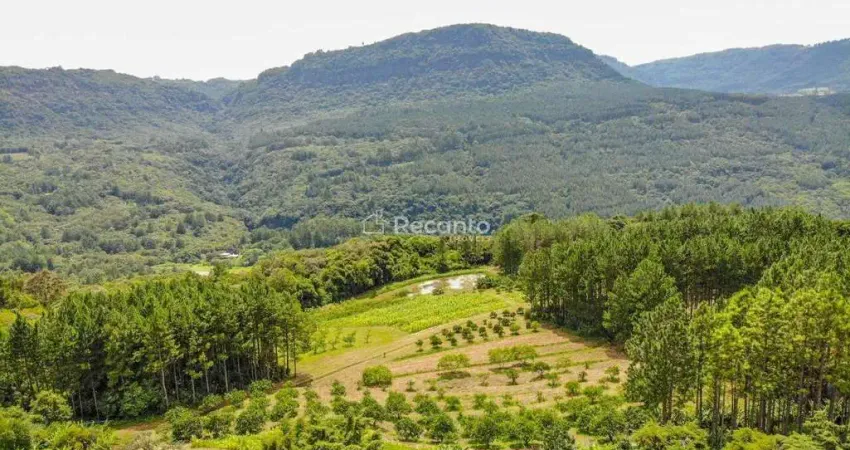 Fazenda à venda na Estrada do Quilombo, 00, Linha 28, Gramado