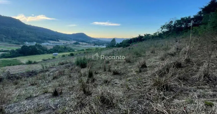 Fazenda à venda na ERS 235, 00, Centro, Nova Petrópolis