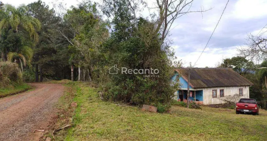 Fazenda à venda na Estrada Linha ávila, 00, Araripe, Gramado
