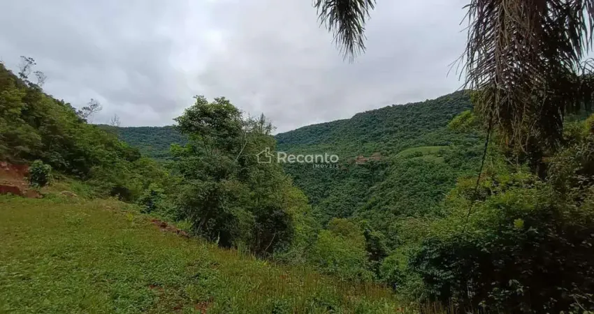 Fazenda à venda na Pedra Branca, 00, Linha Furna, Gramado