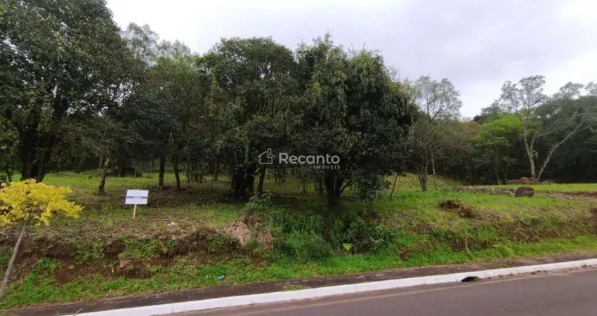 Fazenda à venda na Estrada Linha Marcondes, 00, Marcondes, Gramado