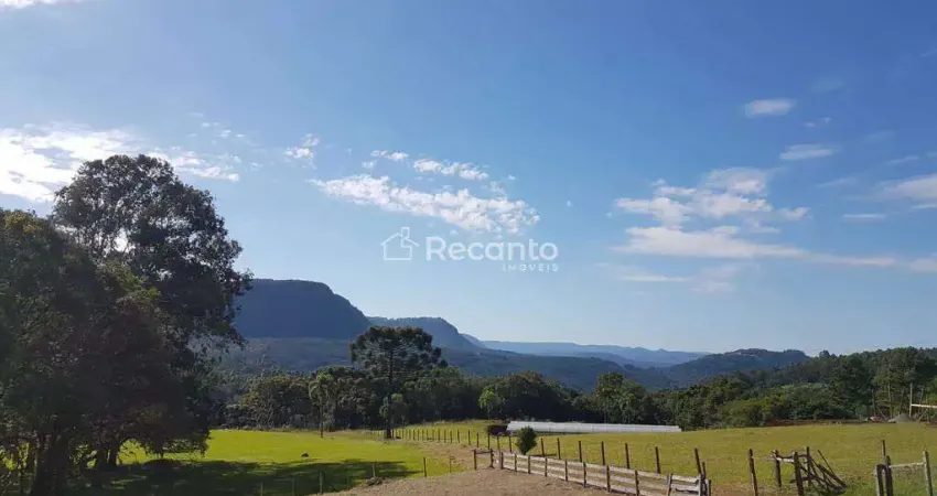 Fazenda à venda na Estrada do Quilombo, 00, Linha 28, Gramado