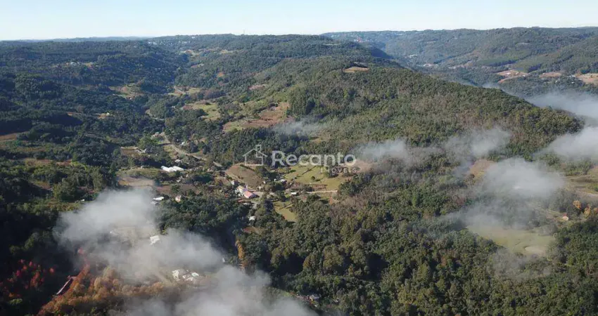 Chácara / sítio à venda na Estrada Linha Bonita, 43, Linha Bonita, Gramado