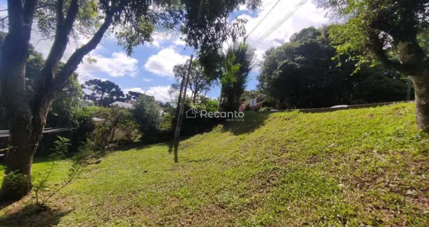 Terreno à venda na R. Dona Francisco, 177, Carniel, Gramado