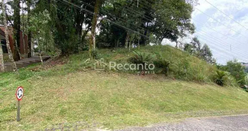Terreno em condomínio fechado à venda na Rua Dos Papagaios, Quinta da Serra, Canela