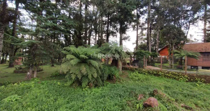 Terreno comercial à venda na R. Helmath Schmitt, 00, Vila Suica, Canela