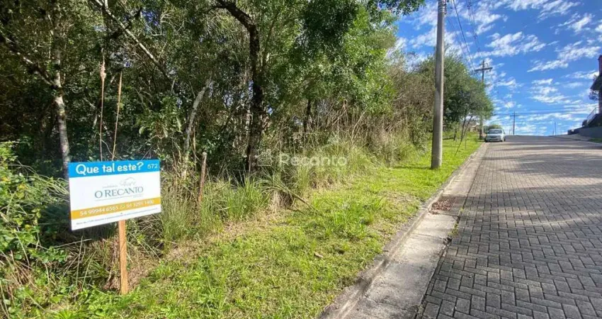Terreno à venda na Carniel, Vivendas do Arvoredo, Gramado