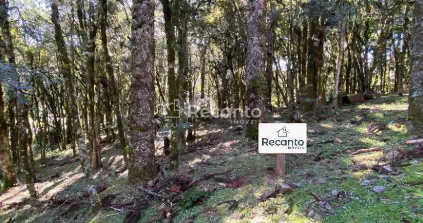 Terreno à venda na Rua José Pedro Piva, Parque Pinheiro Grosso, Canela