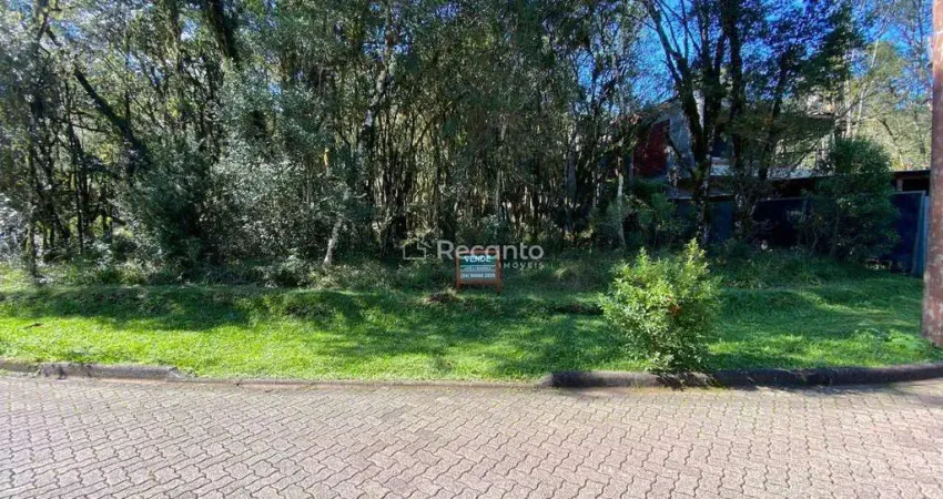 Terreno à venda na Rua José Pedro Piva, Parque Pinheiro Grosso, Canela