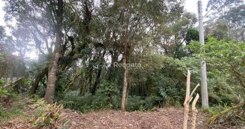 Terreno à venda na RUA SANTALÍSIO RODRIGUES, São José, Canela