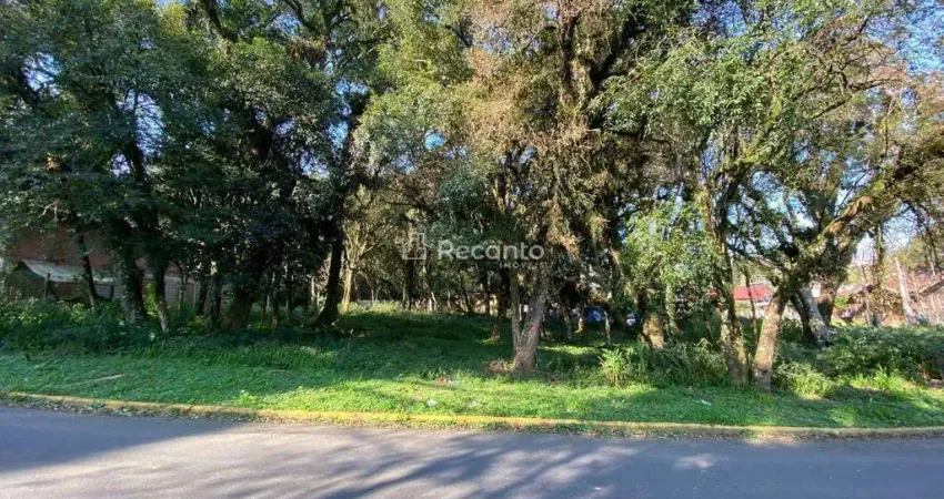 Terreno à venda na Avenida Palace Hotel, Palace Hotel, Canela