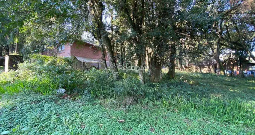 Terreno à venda na Avenida Palace Hotel, Palace Hotel, Canela