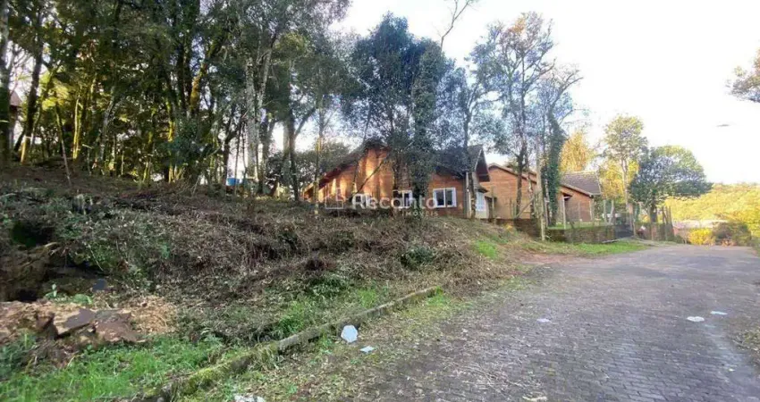 Terreno à venda na Vila do Cedro, Vila do Cedro, Canela