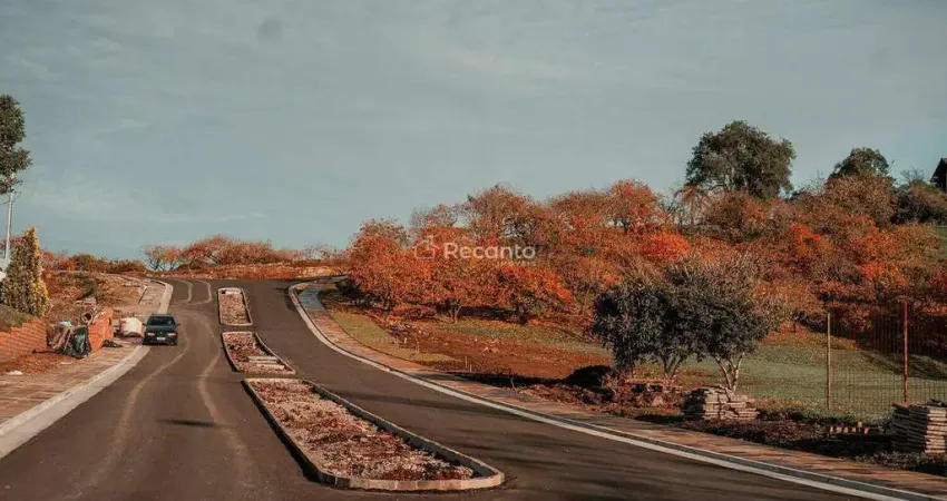 Terreno comercial à venda na Rua Antônio Beneti Sobrinho, Mato Queimado, Gramado