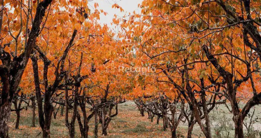 Terreno à venda na Rua Antônio Beneti Sobrinho, Mato Queimado, Gramado