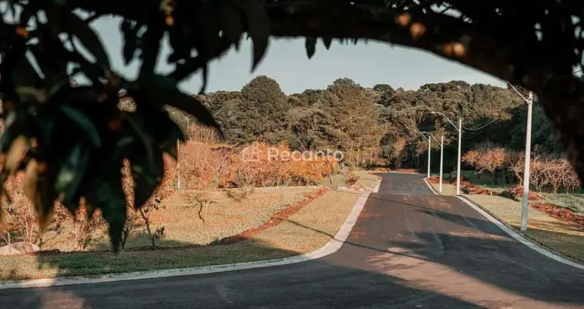 Terreno à venda na Rua Antônio Beneti Sobrinho, Mato Queimado, Gramado
