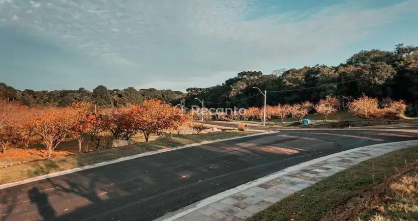 Terreno à venda na Rua Antônio Beneti Sobrinho, Mato Queimado, Gramado