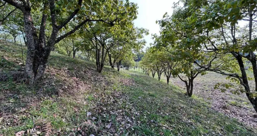 Terreno à venda na Rua Antônio Beneti Sobrinho, Mato Queimado, Gramado