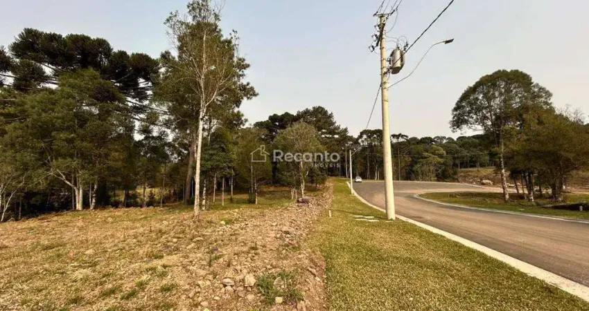 Terreno à venda na Rua Antônio Beneti Sobrinho, Mato Queimado, Gramado