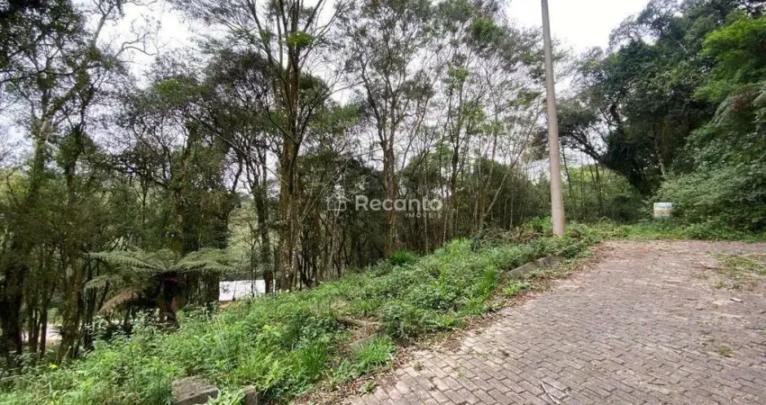 Terreno à venda na Beco da Avenca, Vila do Cedro, Canela