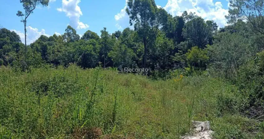 Fazenda à venda na ESTRADA DA LINHA AVILA BAIXA, Zona Rural, Gramado