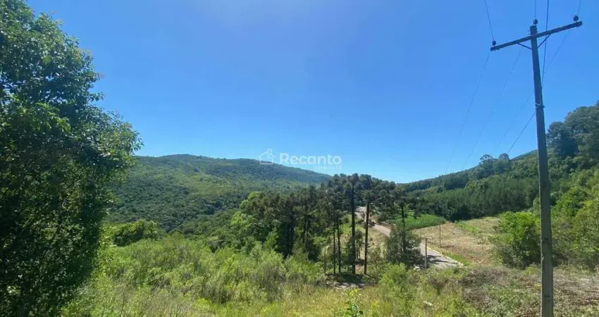 Fazenda à venda na ESTRADA DA LINHA ÁVILA, Linha Ávila, Gramado