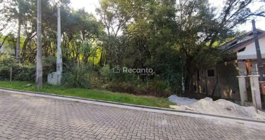 Terreno em condomínio fechado à venda na Carniel, Vivendas do Arvoredo, Gramado
