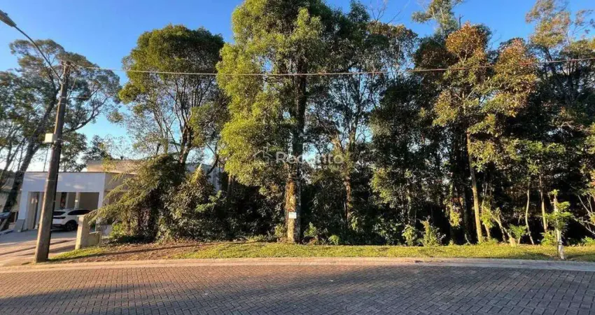 Terreno à venda na Gentil Bonato, Vale das Colinas, Gramado