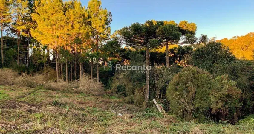 Apartamento à venda na Rua São Francisco, 00, São Bernardo, São Francisco de Paula