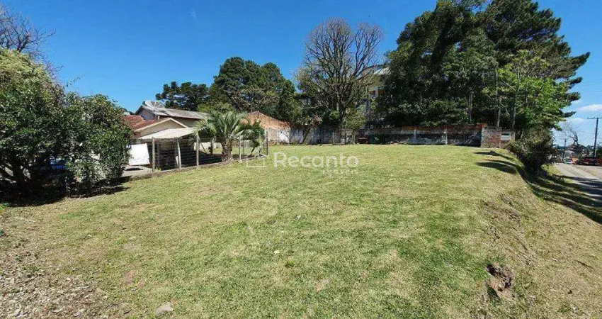 Terreno comercial à venda na Rua João Simplício, Centro, Canela