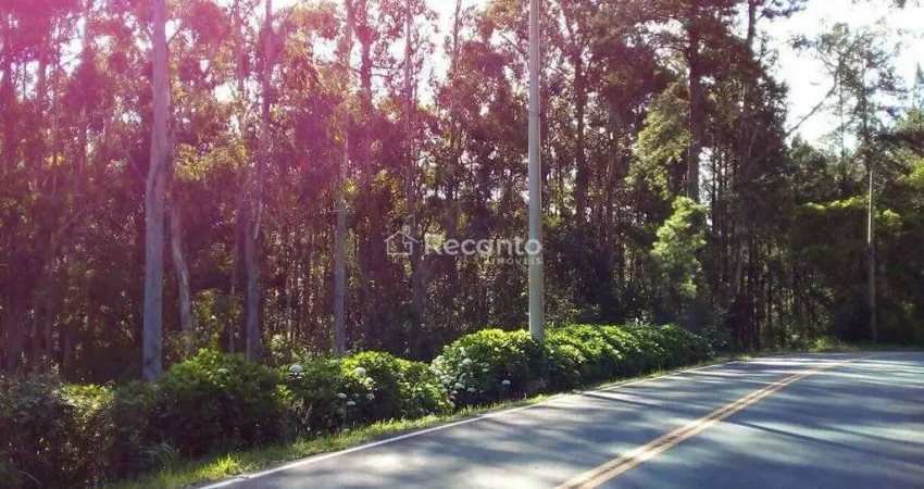 Terreno comercial à venda na Rua Antônio Beneti Sobrinho, Mato Queimado, Gramado