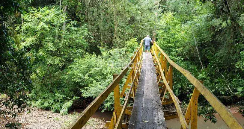Chácara / sítio à venda na Rodovia RS 120, Zona Rural, Três Coroas