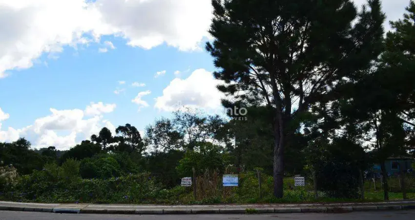 Terreno à venda, 4016 m² por r$ 2.400.000,00 - vila  boeira - canela/rs