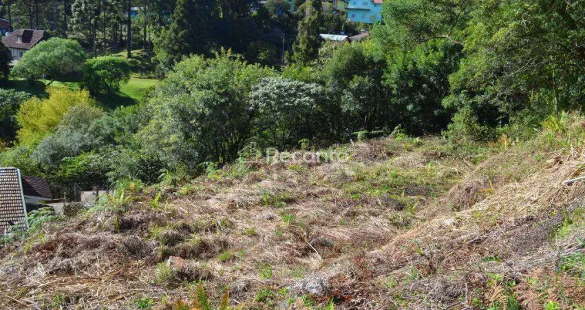 Terreno à venda na Rua Aurelio Broilo, Pórtico, Gramado
