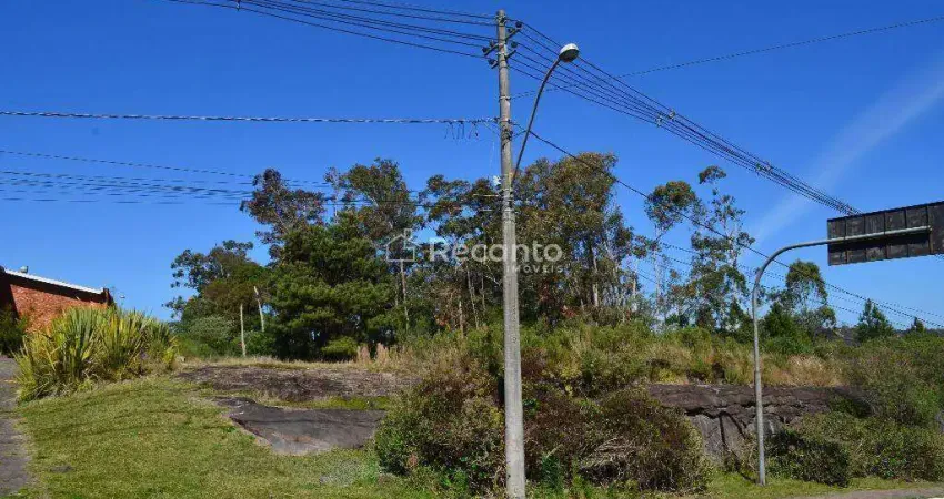 Terreno à venda, 10424 m² por r$ 36.000.000,00 - avenida central - gramado/rs
