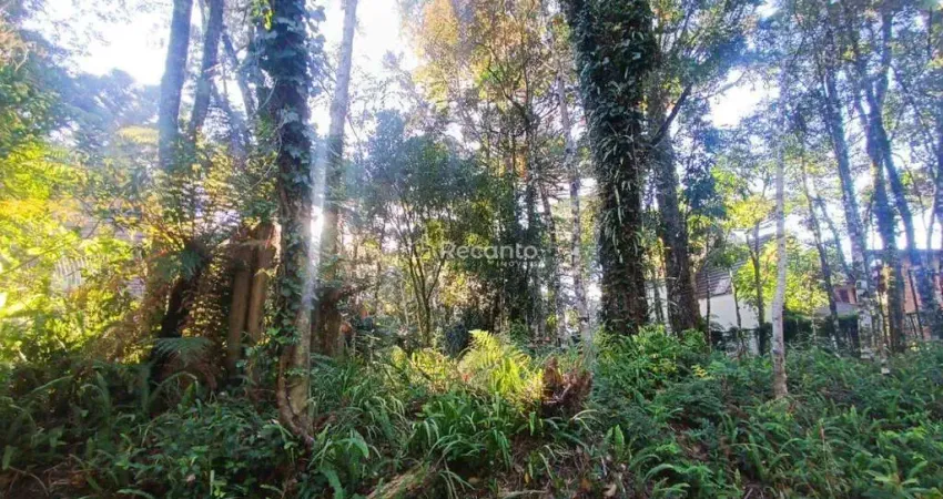 Terreno à venda na Rua Da Carrieri, 15, Planalto, Gramado