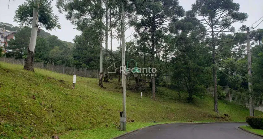 Terreno em condomínio fechado à venda na Rua Prefeito Waldemar Frederico Weber, 1815, Vale do Bosque, Gramado