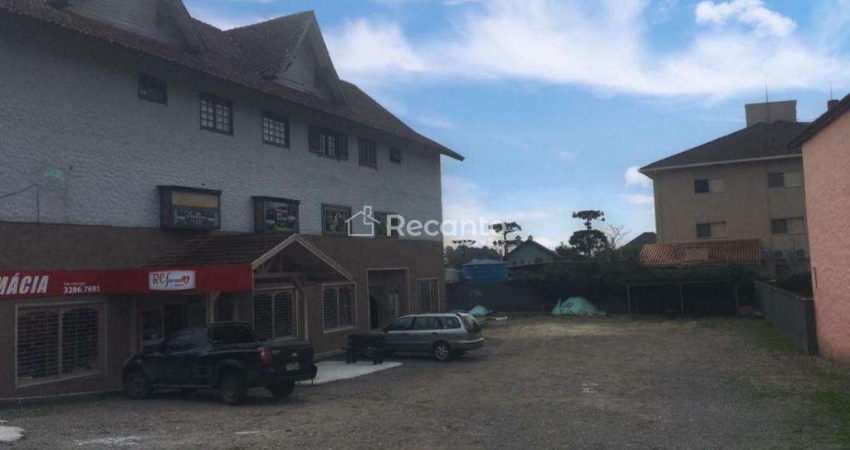Terreno comercial à venda na Avenida Das Hortênsias, Centro, Gramado