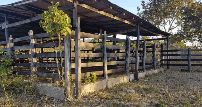 Lindo sítio na região do município de alto paraguai 32 hectares r$800.000,00. codigo: 45915