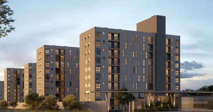 Lançamentos para venda em biguaçu, fundos, 2 dormitórios, 1 banheiro, 1 vaga