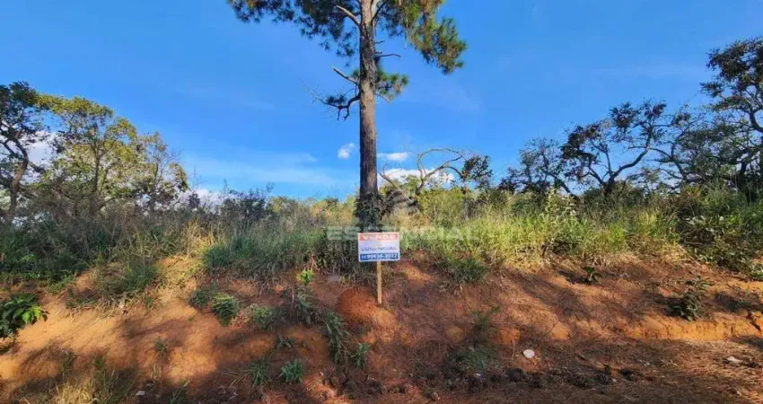 Terreno à venda, 5862 m² por r$ 160.000,00 - campos eliseos - pardinho/sp