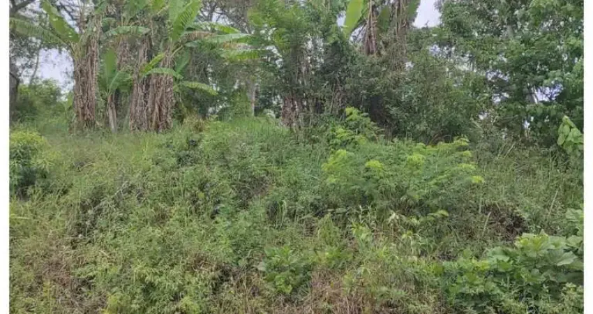 Terreno à venda na Zona Rural, Jambeiro