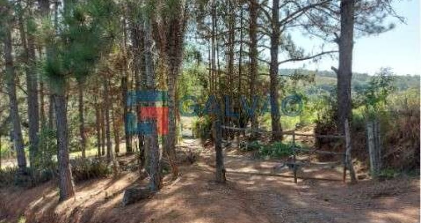 Chácara / sítio com 4 quartos à venda no Pitangal, Jarinu 