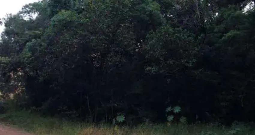 Terreno em Condomínio para Venda em Atibaia, Condomínio Bosque dos Eucalíptos