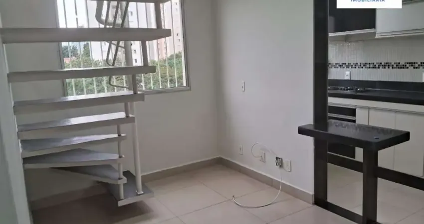 Apartamento Cobertura Duplex Jardim Nova Europa, Campinas/SP