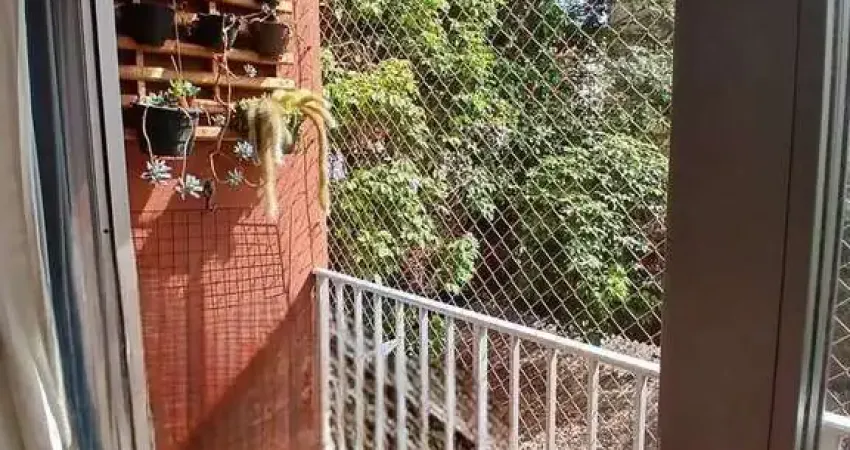 Apartamento Jardim Pauliceia, Campinas/SP