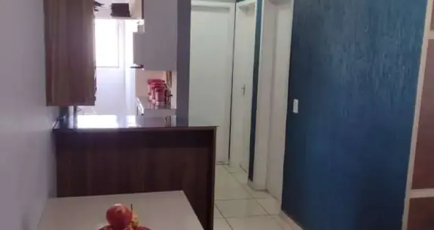Apartamento Residencial Cosmos Campinas/SP