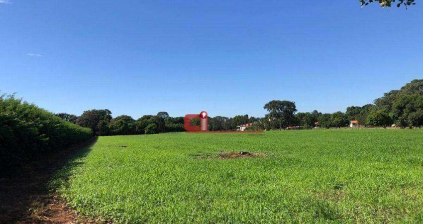 Terreno à venda, 23200 m² por R$ 1.000.000,00 - Condomínio Plazza Ville - Jaguariúna/SP