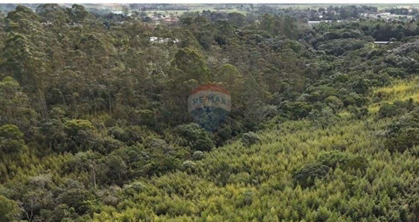 Terreno - área com 63,364m² no bairro Ipelândia em Suzano